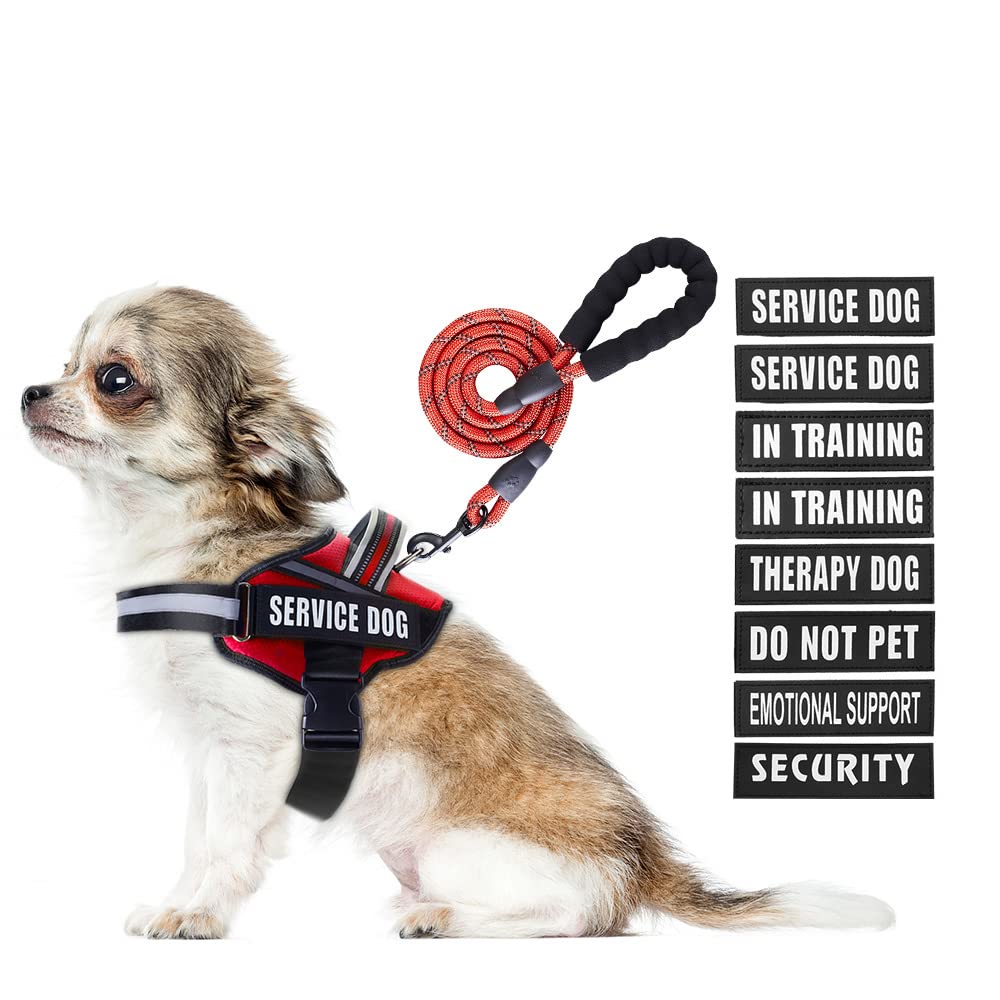 Service Dog Vest Harness and Leash Set - Adjustable Training Harness with 10 Patches, Reflective Leash & Soft Padded Handle for Small to XL Dogs (Red, XS) - Perfect for Therapy, Assistance & Outdoor Activities