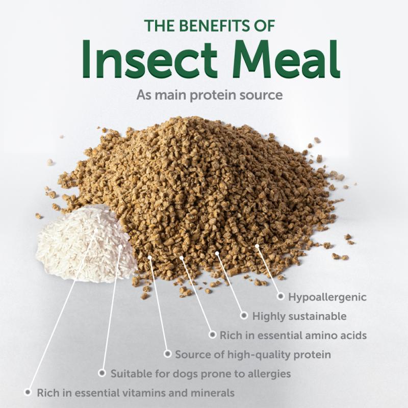 Premium High-Protein Dog Treats with Insects & Rice - Supports Endurance & Muscle Health for Active Adult Dogs - Perfect for Training, Hiking & Outdoor Adventures