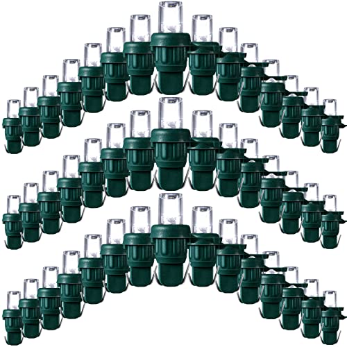 Green Base with Cold White Bulb