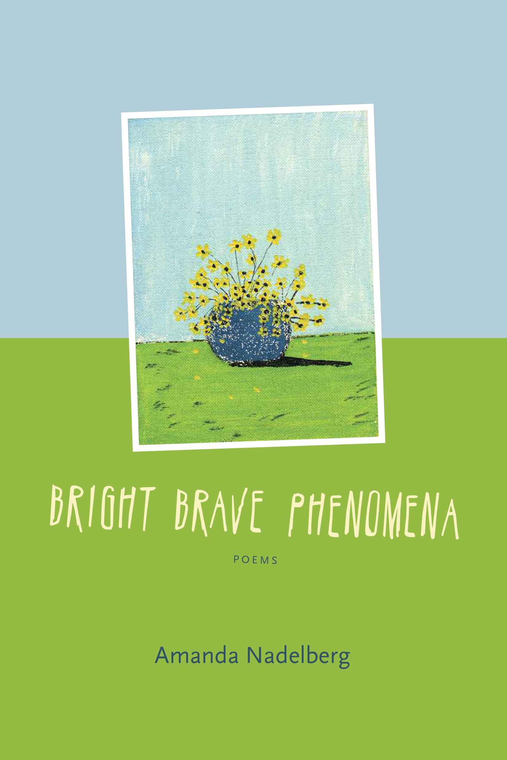 Bright Brave Phenomena - Stunning LED Light Show for Home Decor, Parties & Events | Perfect for Bedrooms, Living Rooms & Outdoor Gatherings