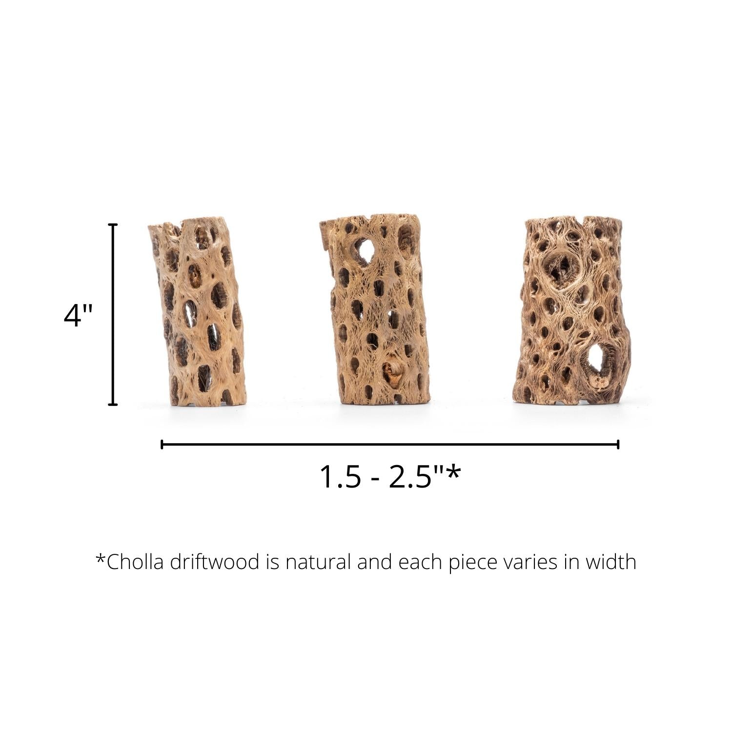 4 Inch Cholla Wood Driftwood for Aquarium & Reptile Habitat - Natural Chain Fruit Cactus Decor for Fish Tanks, Terrariums, and Craft Projects