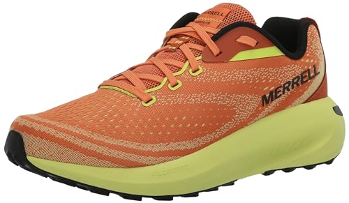 Melon Hiviz