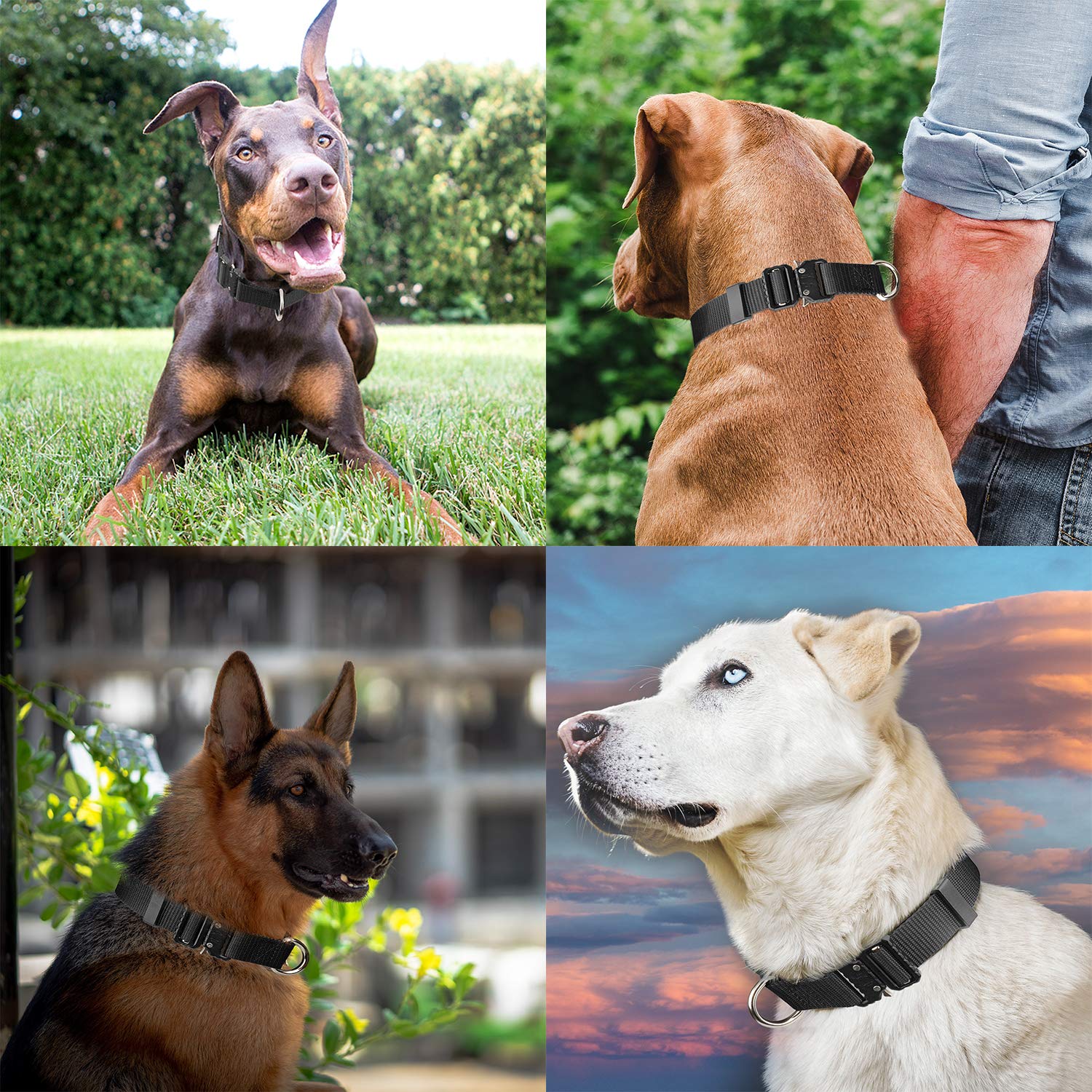 Tactical Dog Collar for Medium, Large & XL Dogs - Adjustable Nylon K9 Collar with Quick-Release Metal Buckle (Brown, XL) - Durable Training & Outdoor Adventure Gear for Active Dogs