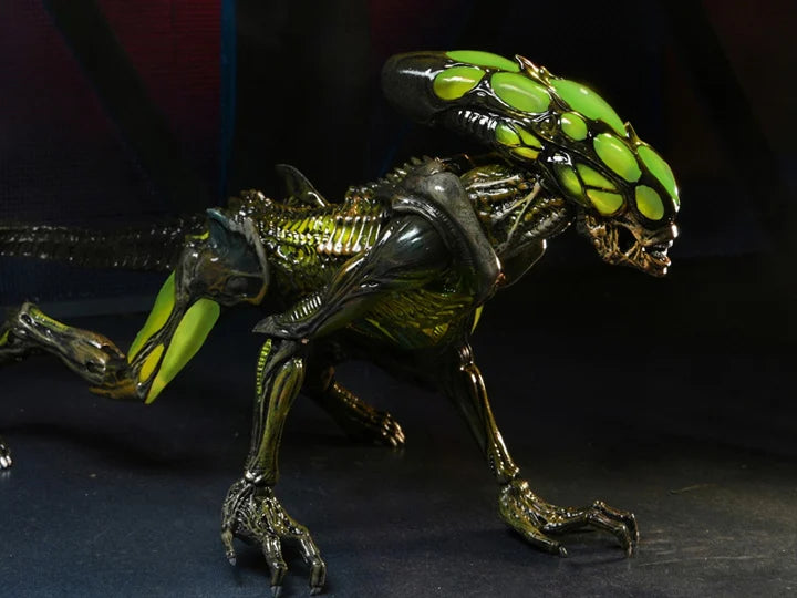 Aliens: Fireteam Elite - Burster Alien Action Figure | Collectible Sci-Fi Toy for Fans | Perfect for Display, Gaming, and Cosplay
