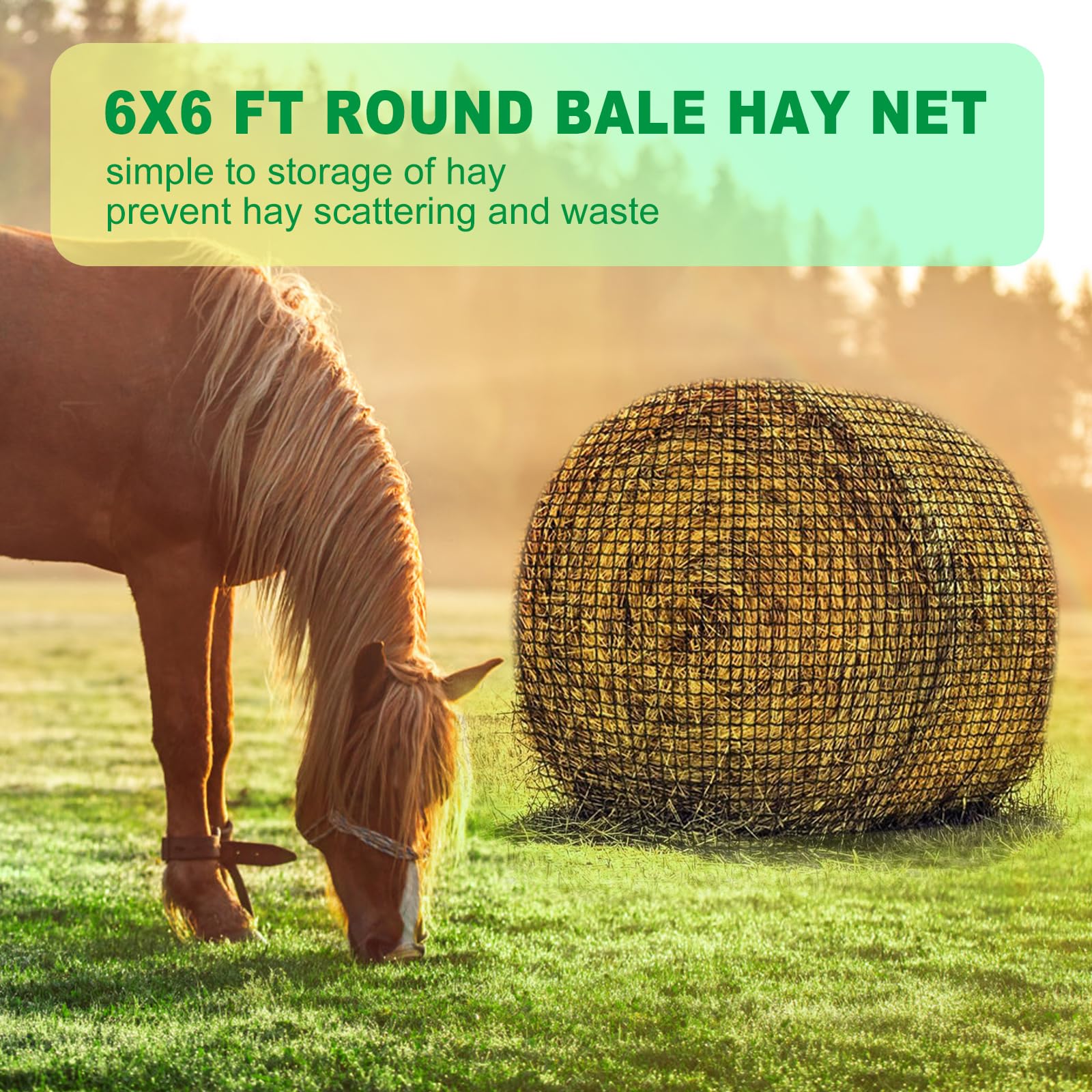 Tongmo 6x6 ft Round Bale Hay Net for Horses, Cattle & Livestock - 2 Inch Hole Slow Feeder Hay Net - Perfect for Pasture, Barn & Stable Feeding