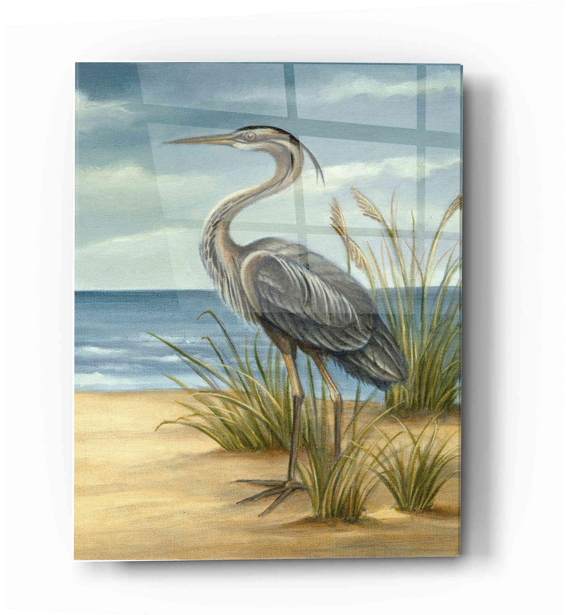 Ethan Harper 'Shore Bird II' Acrylic Glass Wall Art Print - 16x24 Inches Coastal Beach Decor, Modern Home & Office Wall Decor for Living Room, Bedroom