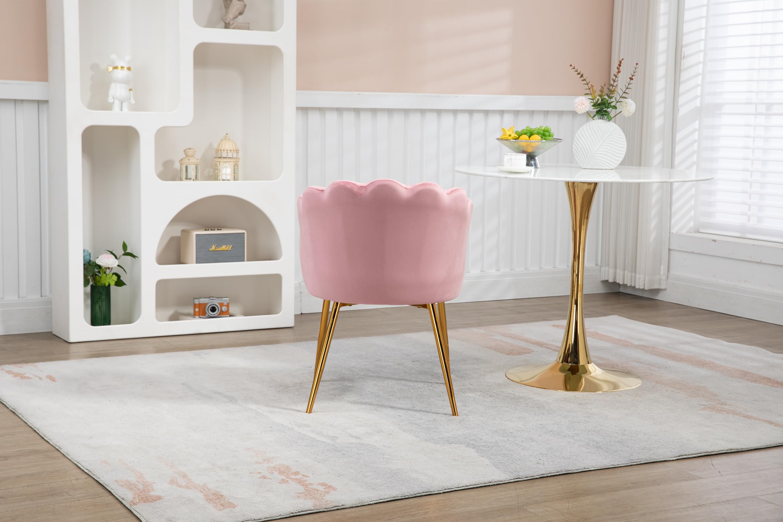 Modern Velvet Vanity Chair with Golden Metal Legs & Petal Back - Comfy Upholstered Armchair for Bedroom, Dining, Makeup Desk - Soft Pink Velvet Seat for Women & Girls (Perfect for Dressing Rooms, Boudoirs & Teen Bedrooms)