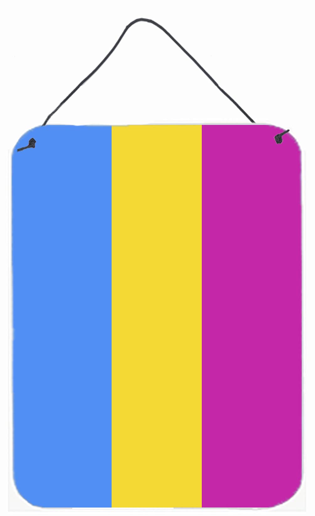 Pansexual Pride Metal Wall Art - 12x16 Inch Aluminum Sign for Kitchen, Bar, Bathroom & Front Door Decor - Colorful LGBTQ+ Home Plaque for Wall Hanging or Door Display - Perfect for Pride Month & LGBTQ Support