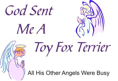 God Sent Me A Toy Fox Terrier All His Other Angels Were Busy Funny Dog Lover T-Shirt - Cute Fox Terrier Graphic Tee for Dog Owners & Pet Lovers - Perfect Gift for Birthday, Christmas & Casual Wear