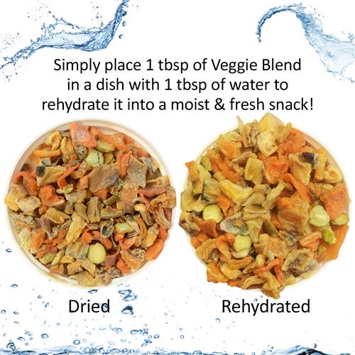 Premium Squirrel Food Starter Kit - Natural Nut & Seed Mix for Wild Squirrels - Perfect for Backyard Feeding, Wildlife Watching & Nature Enthusiasts