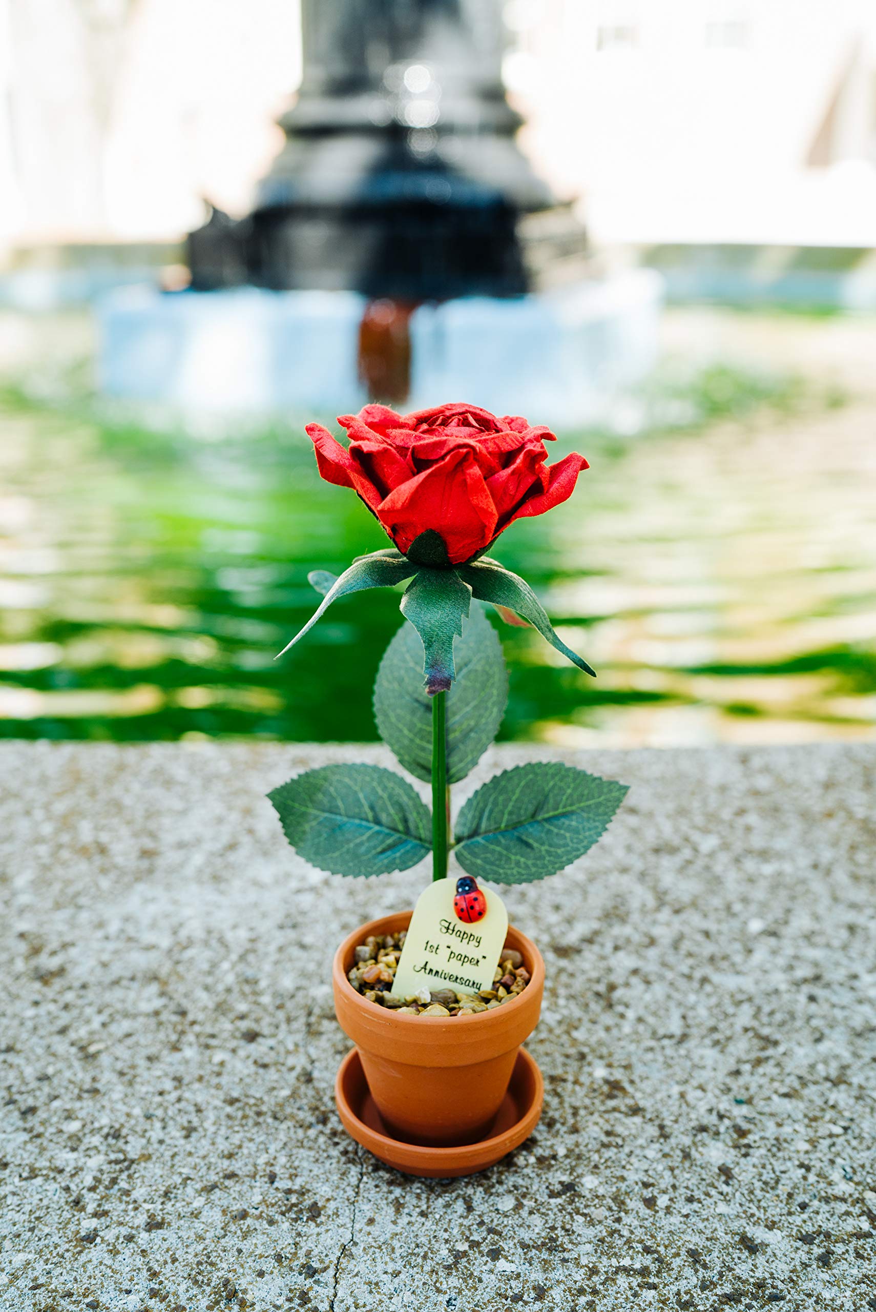 1st Year Wedding Anniversary Gift - 7