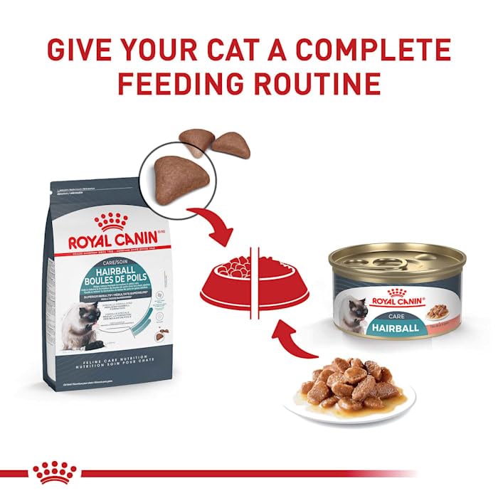 Royal Canin Feline Hairball Care Dry Cat Food - 3 lb Bag | Vet-Recommended Nutrition for Cats with Hairball Issues | Perfect for Indoor Cats & Long-Haired Breeds