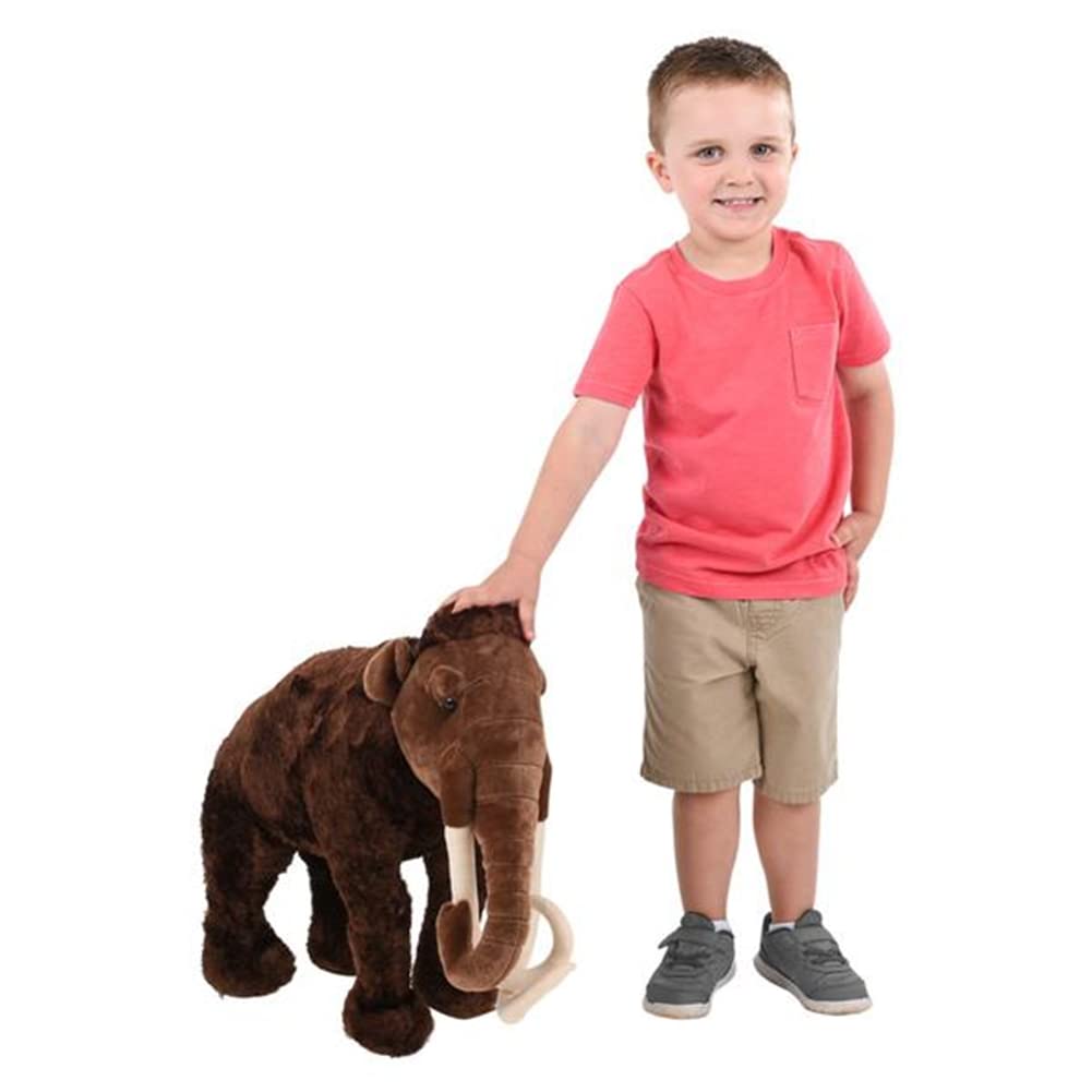 Forest & Twelfth Kids 22