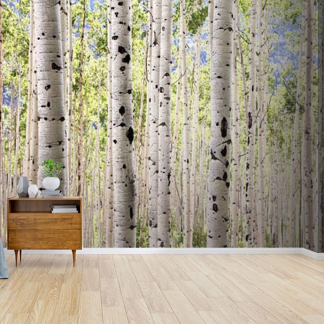 Grove of Aspen Trees Canvas Print - Self Adhesive Peel & Stick Wallpaper Mural - Nature Inspired Wall Decal for Living Room, Bedroom & Office Decor - Easy DIY Home Craft Wall Sticker