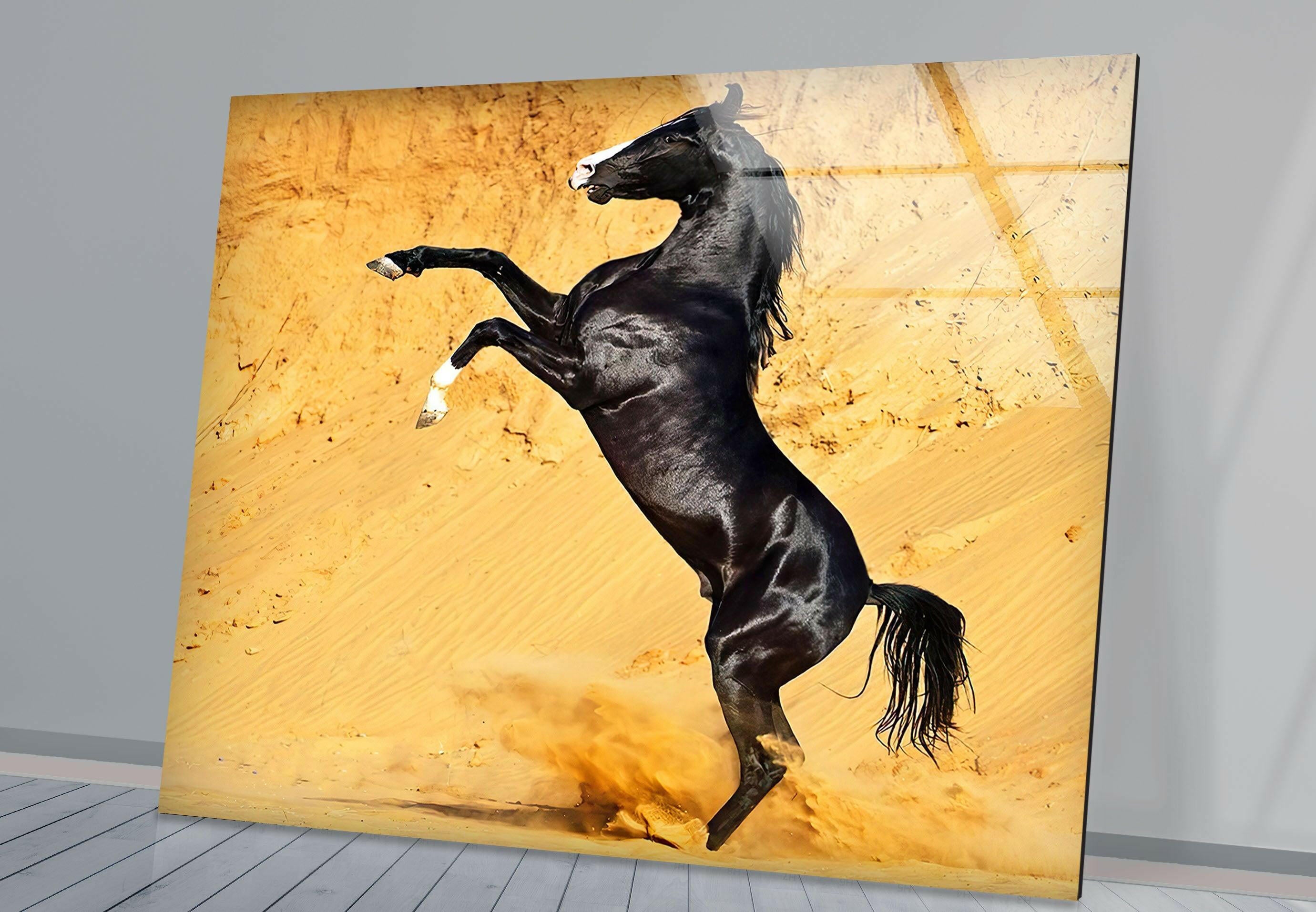 Black Horse on Desert Glass Wall Art - Stunning Home Decor for Living Room, Bedroom & Office | Modern Abstract Painting for Unique Interior Design