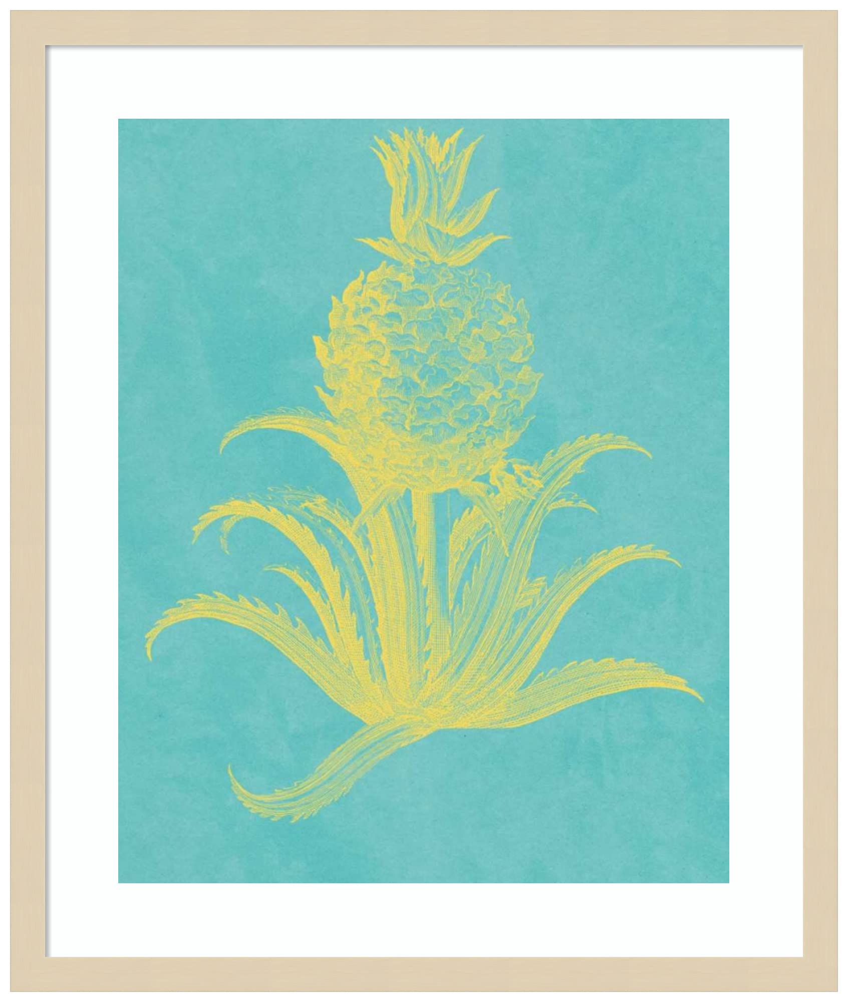 Amanti Art Framed Wall Art Print - 25x21 Pineapple Frais II by Vision Studio | Vintage Kitchen Decor & Cuisine Wall Art | Medium Poster Painting for Living Room, Bedroom, Bathroom, Office | Perfect for Farmhouse, Coastal & Tropical Home Decor Styles