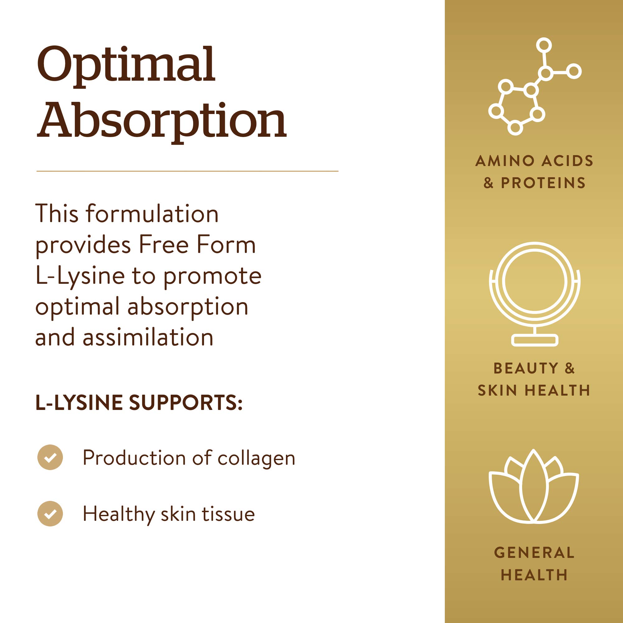 Solgar L-Lysine 500mg - 250 Vegan Capsules for Skin & Lip Health | Collagen Booster & Amino Acid Supplement | Enhanced Absorption Formula | Non-GMO, Gluten Free | Daily Immune Support for Active Lifestyles
