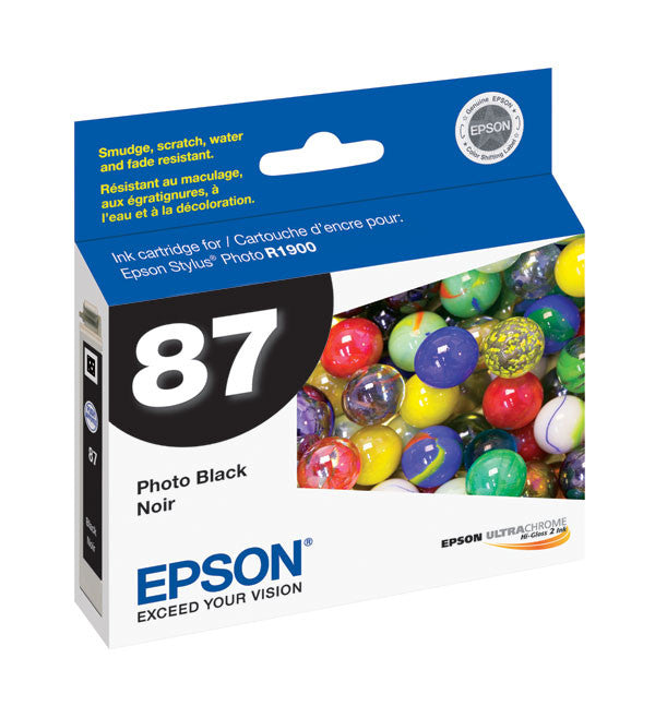 Epson T087120 R1900 Photo Black Ink Cartridge (87) - High-Quality Replacement Ink for Photo Printing, Art Projects & Professional Photography
