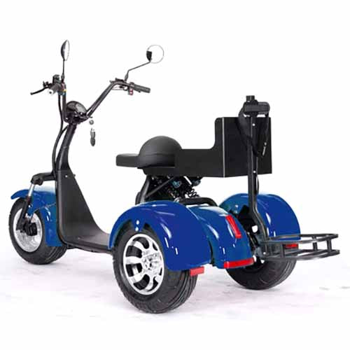 2000W 60V Electric Fat Tire Trike - 3 Wheel Scooter Moped Bike with Golf Rack, Similar to CityCoco Bike CT 3G - Perfect for Commuting, Golf Course Transport & Urban Adventure