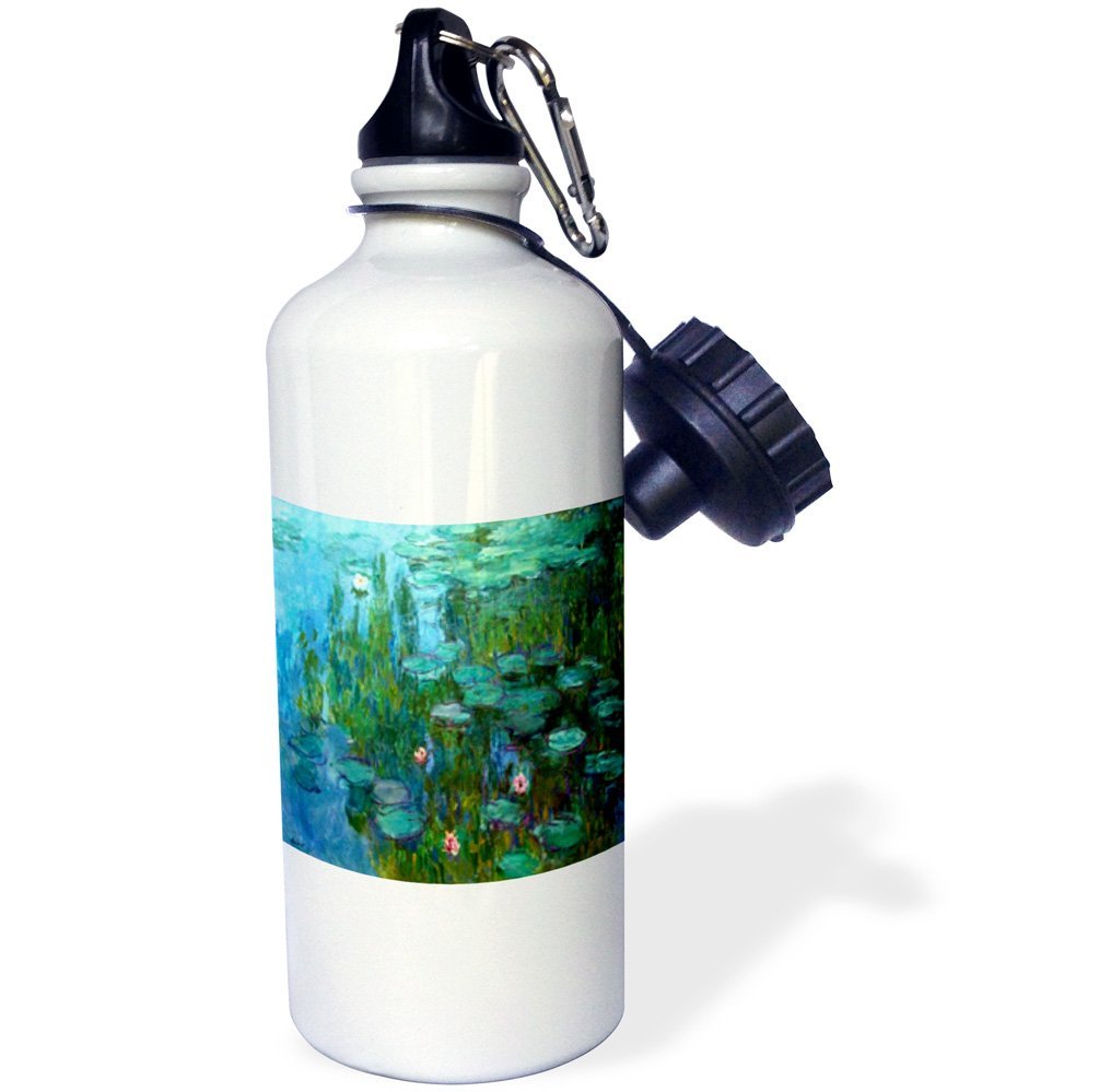 3D Rose Monet's Water Lilies Painting Insulated Sports Water Bottle - 21 oz, White - Perfect for Gym, Hiking & Outdoor Activities