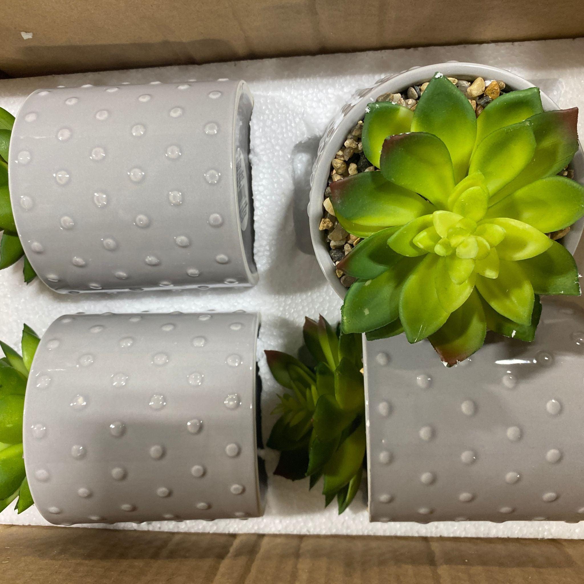 40 Pcs Grey Dotted Ceramic Plant Pots for Succulents - Small Decorative Flower Pots for Indoor Plants, Home Garden Decor, Office Desk Decorations