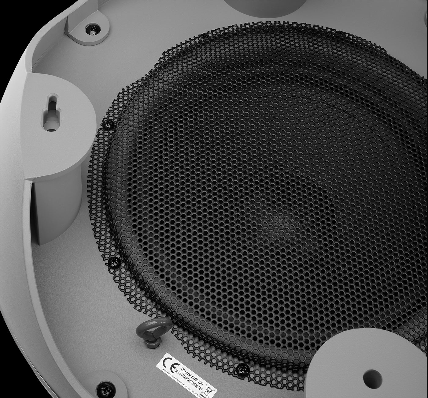 Polk Atrium Sub100 Outdoor Subwoofer - 10 Inch Weatherproof Woofer for Patio, Backyard & Poolside Music Entertainment