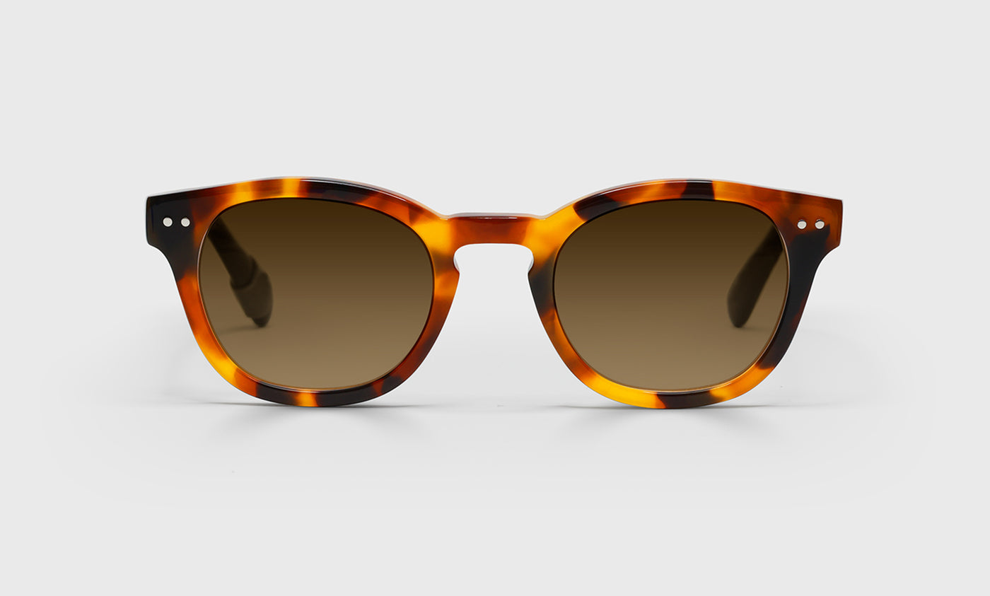 Waylaid Average Color 21 Orange Tortoise Front with Black Temples - Stylish Unisex Eyeglasses for Reading & Fashion