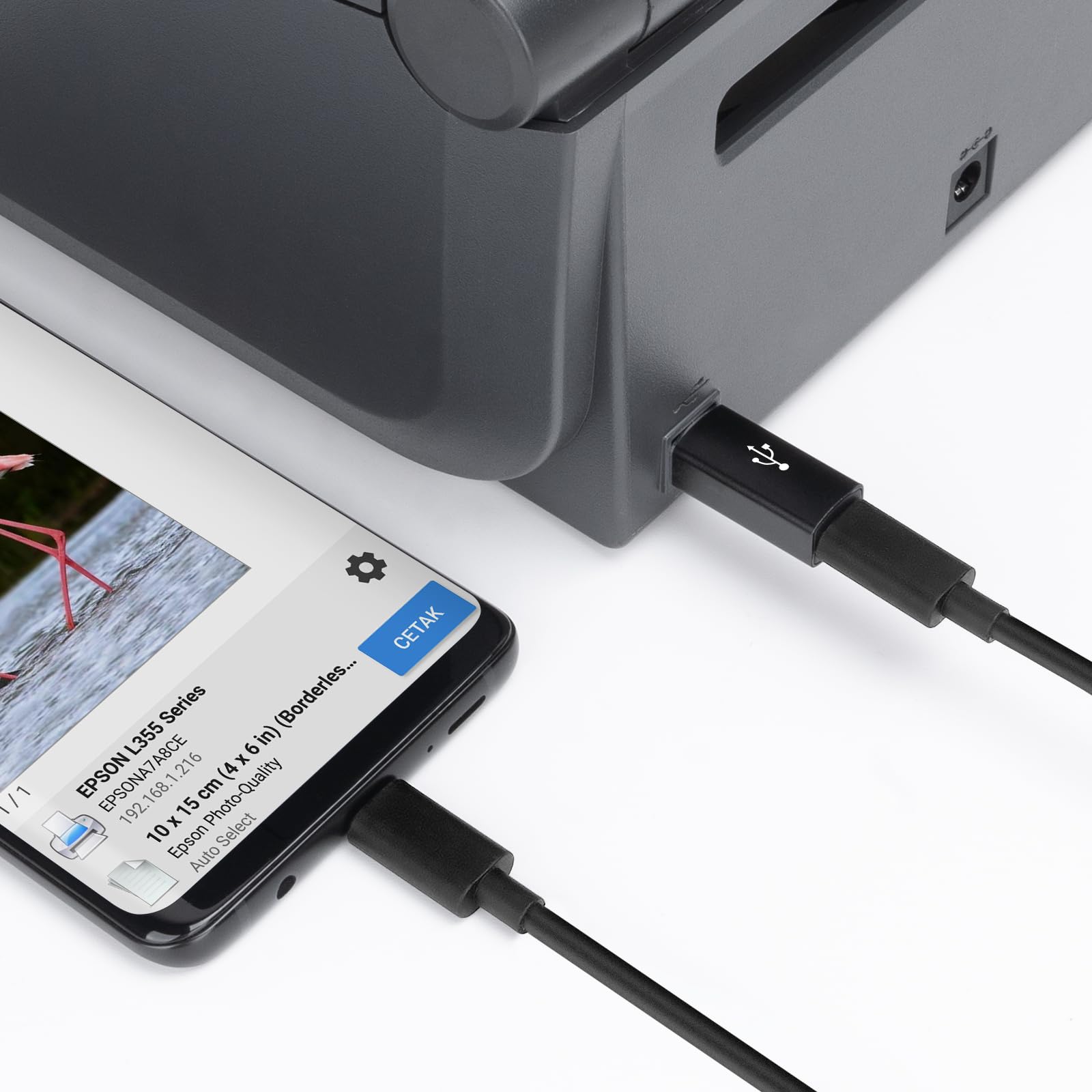 USB C Female to USB B Male Adapter (2 Pack) - Type C to Printer Cable Converter for Data Sync - Compatible with Printers, MIDI Keyboards, Electric Pianos - Perfect for Office, Studio & Home Use