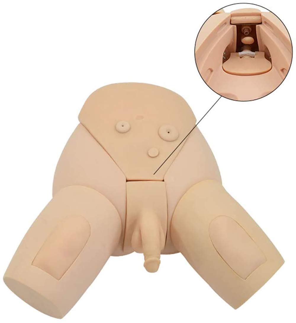 Male & Female Urinary Catheterization Training Manikin - Interchangeable Nursing Practice Simulator for Medical Students & Professionals | Perfect for Clinical Skills Labs & Healthcare Education