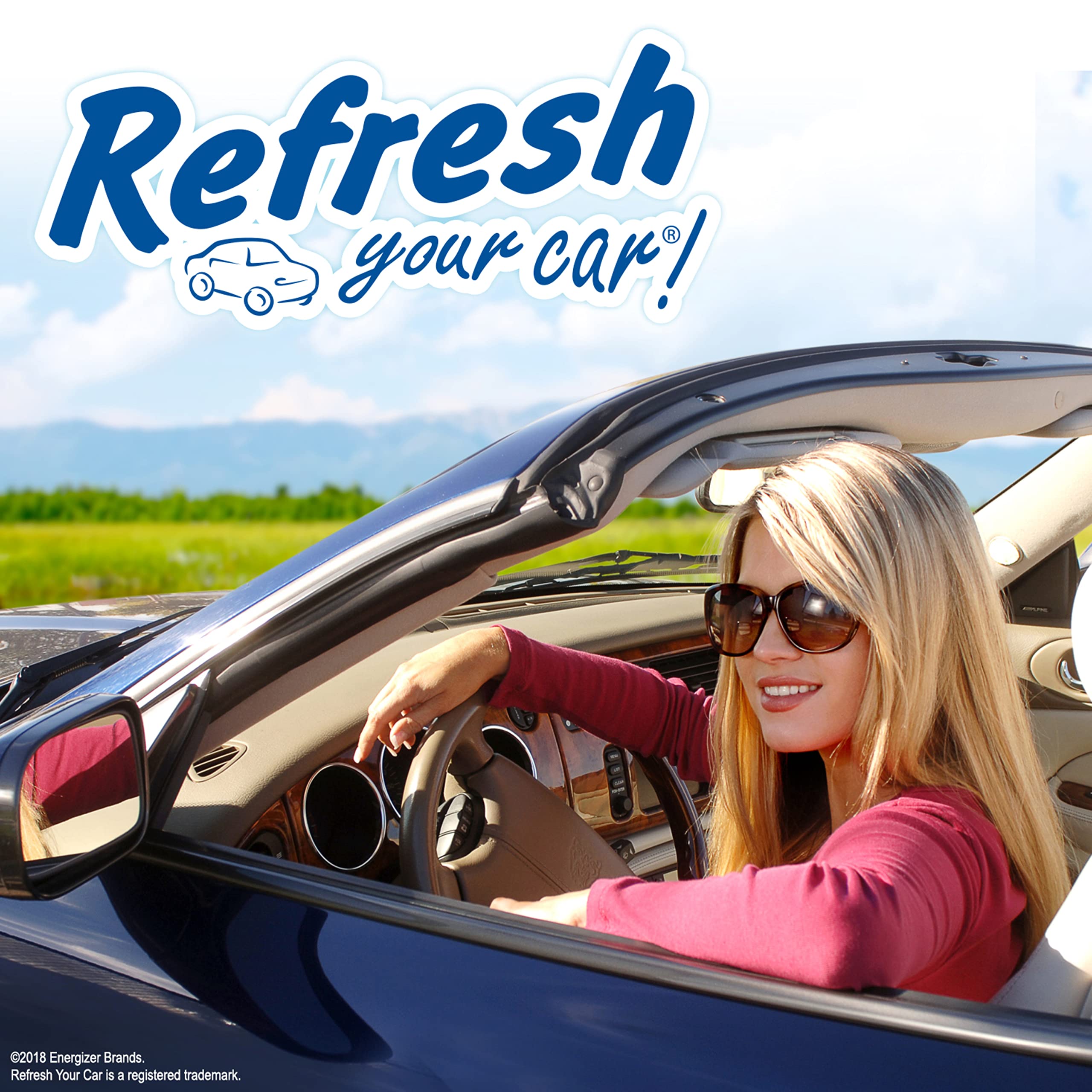 E300888902 Dual Scent Car Vent Sticks - Alpine Meadow & Summer Breeze (4 Pack) for Fresh Car Air