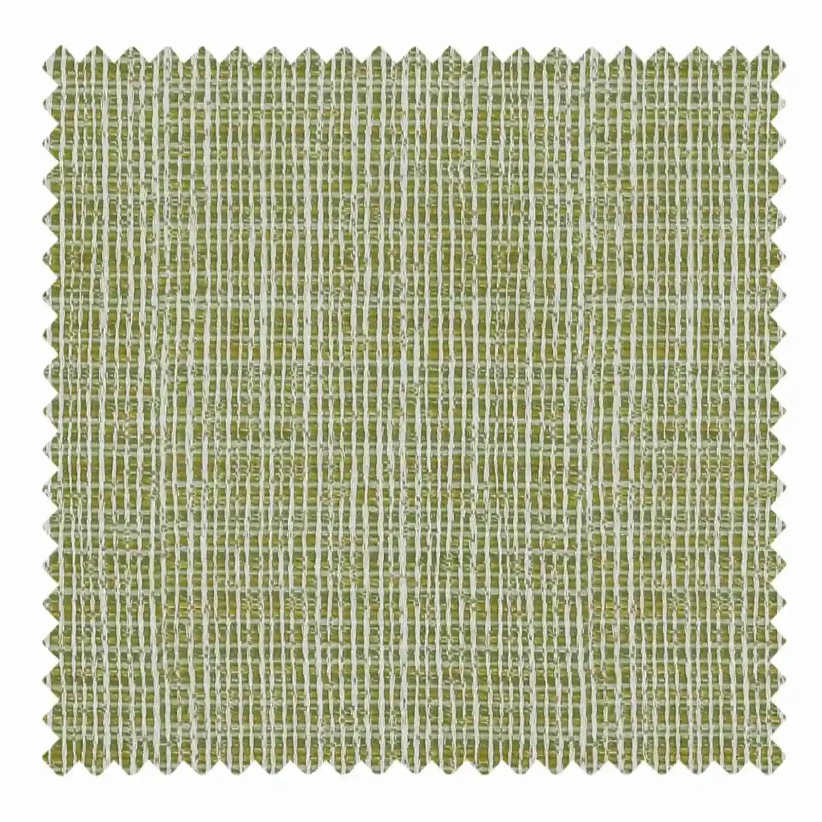 Fresh Kiwi Fruit - J306 4 Pack | Premium New Zealand Kiwifruit for Smoothies, Salads & Healthy Snacks | Perfect for Breakfast, Desserts & Gift Baskets