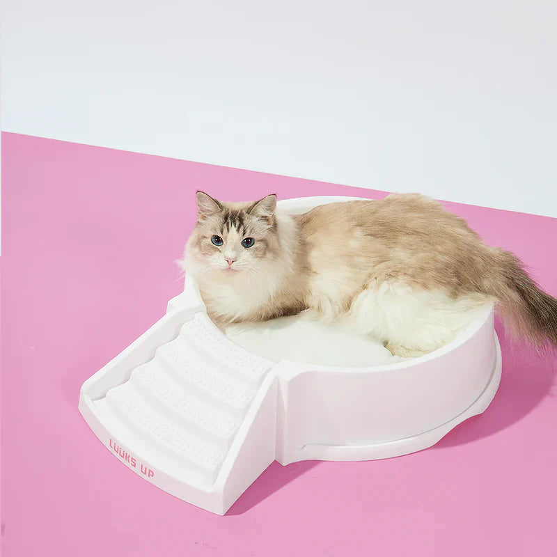 2 in 1 Kitty Litter Box & Cat House - Eco-Friendly Dual Use Litter Cabin with Odor Control - Perfect for Small Spaces & Stylish Home Decor