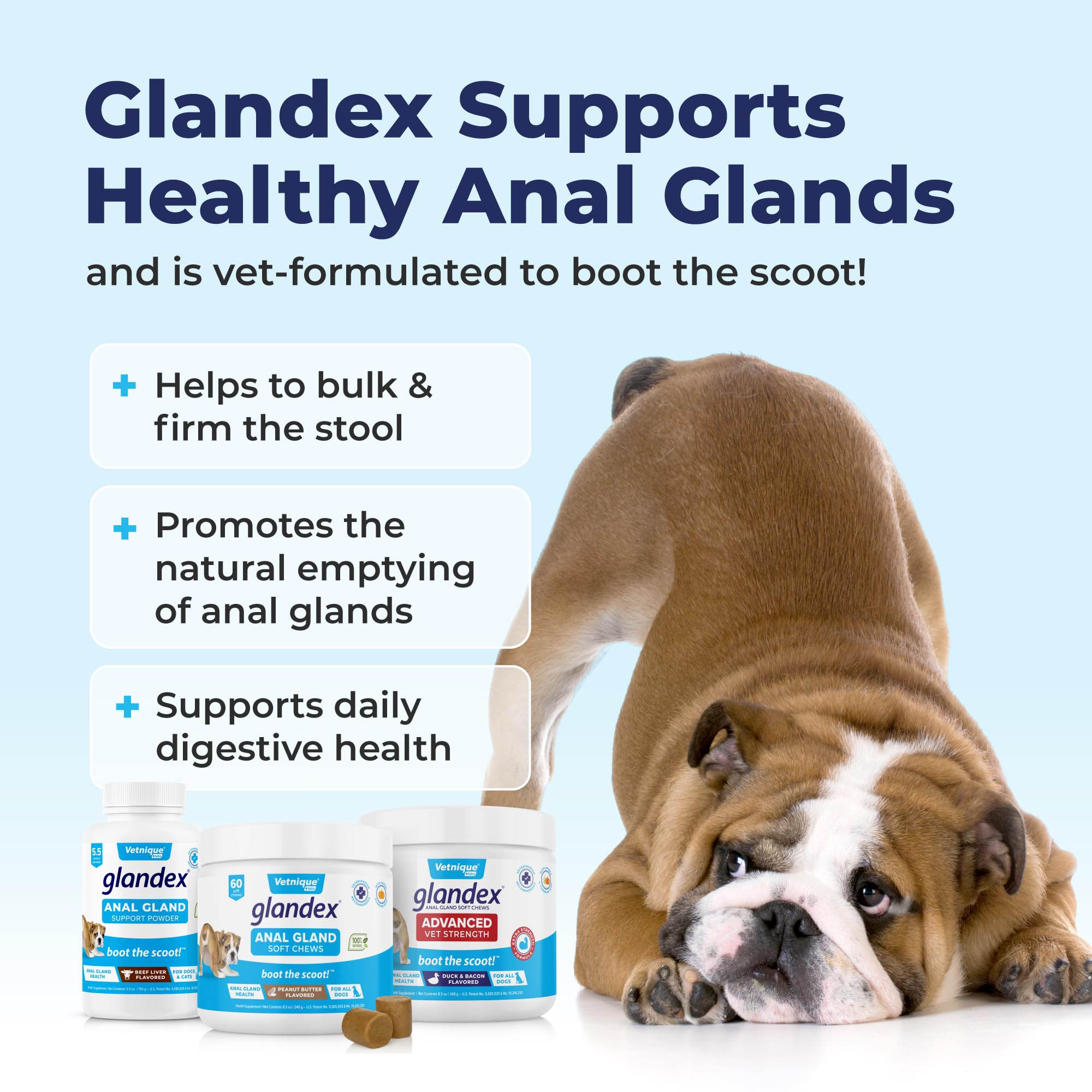 Vetnique Labs Glandex Anal Gland Soft Chew Treats for Dogs - Digestive Enzymes, Probiotics & Fiber Supplement with Pumpkin - Peanut Butter Flavor (60 Count) - Supports Anal Gland Health & Reduces Scooting - Perfect for Digestive Support & Daily Treats