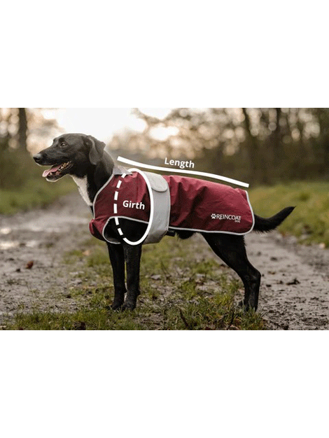 ReinCoat Waterproof Dog Coat for Small Medium Large Dogs - Warm Winter Jacket with Reflective Strips for Outdoor Walking, Hiking & Camping