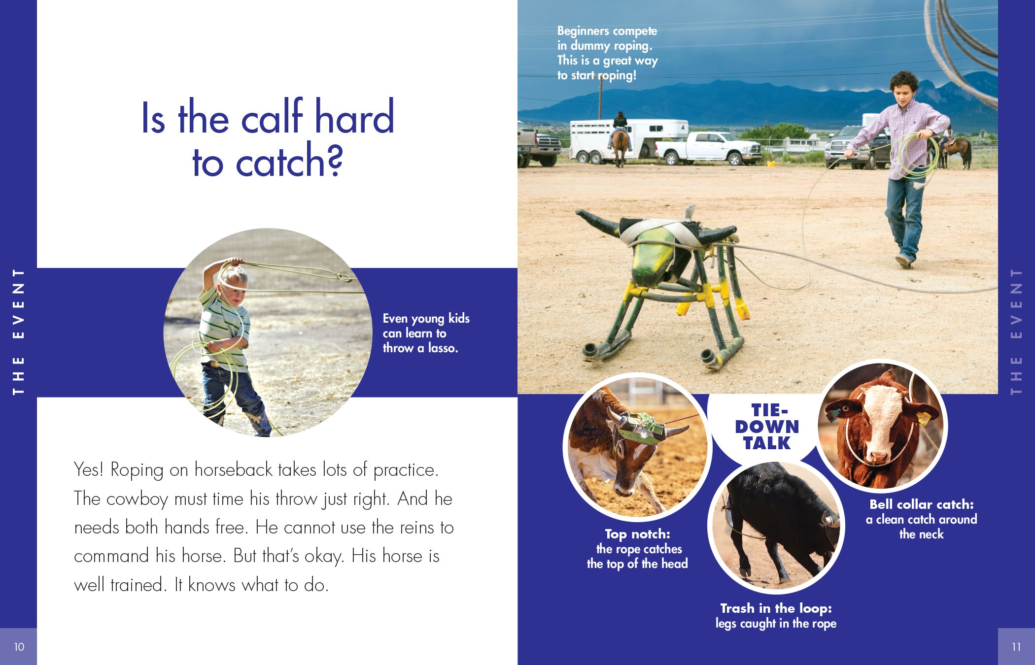 Best Tie Down Roping Equipment for Rodeo & Ranch Work - Durable Ropes & Gear for Cowboy Training & Livestock Handling