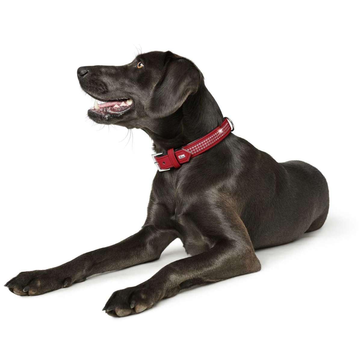 Hunter Softie Deluxe Collar for Dogs - 50