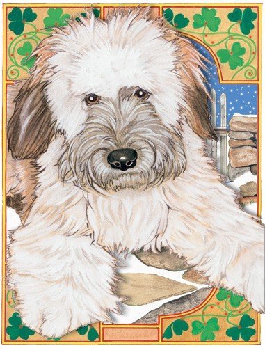 Holiday Boxed Greeting Cards - Wheaten Terrier Design for Christmas, Thanksgiving & Birthday - Perfect for Pet Lovers, Home Decor & Gift Giving