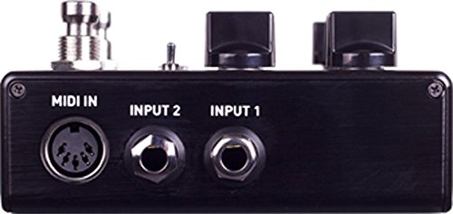 Source Audio SA260 One Series Nemesis Delay Pedal with 4 Cables - Professional Guitar Effects Pedal for Live Performances & Studio Recording