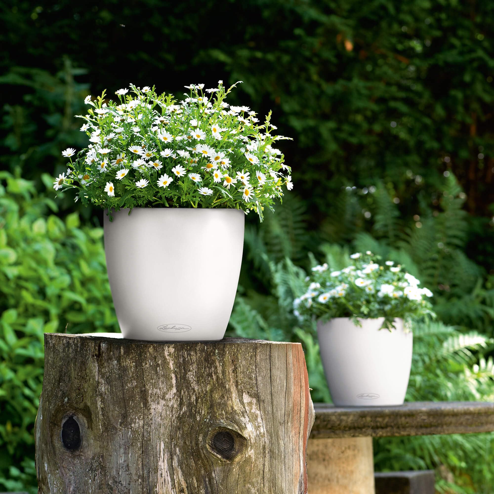 Lechuza Classico 35 Self-Watering Planter - 14 Inch White Matte Flower Pot for Indoor & Outdoor Plants - Perfect for Home, Office, Patio & Garden Decor