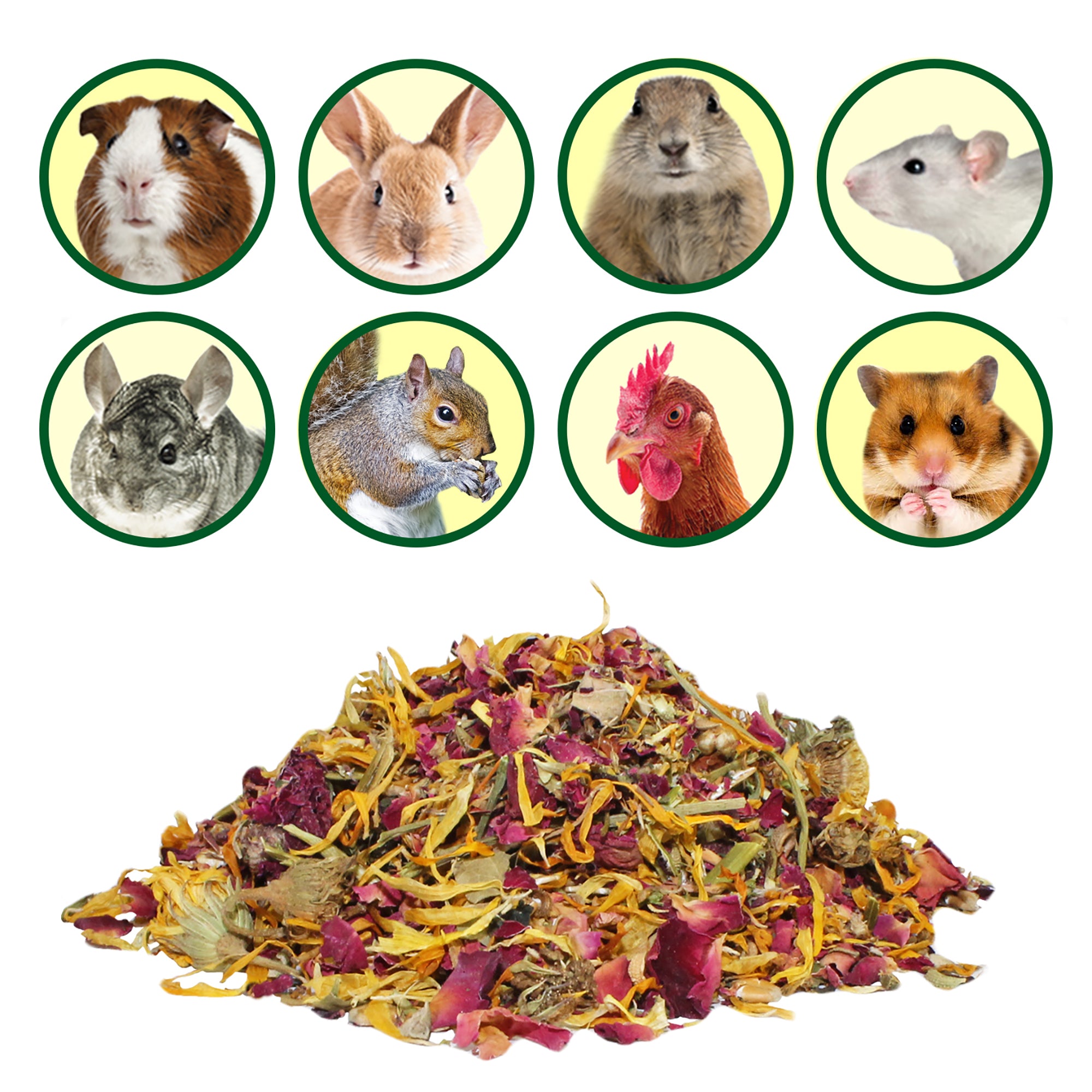 Flower Fusion Treat - Premium Organic Edible Flower Mix for Baking, Cooking & Garnishing | Perfect for Cakes, Desserts, Salads & Cocktail Decorations