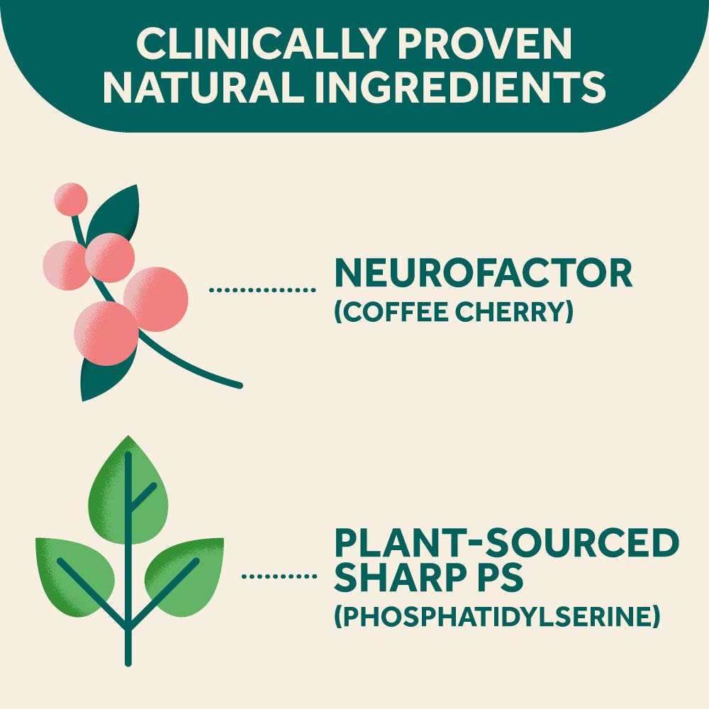 NEURIVA Plus Brain Supplement - 180 Capsules (6 Bottles) for Focus, Memory & Cognitive Support - Nootropic Formula with Neurofactor & Phosphatidylserine - Perfect for Work, Study & Mental Clarity