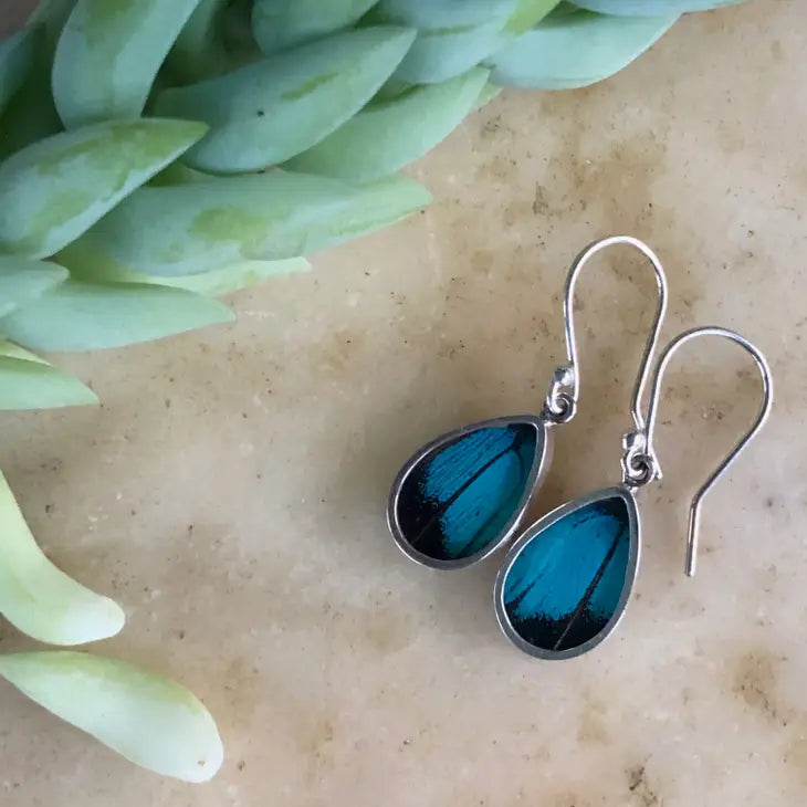 Three Toned Prepona Butterfly Sterling Silver Earrings - Elegant Jewelry for Women, Perfect for Parties, Weddings & Special Occasions