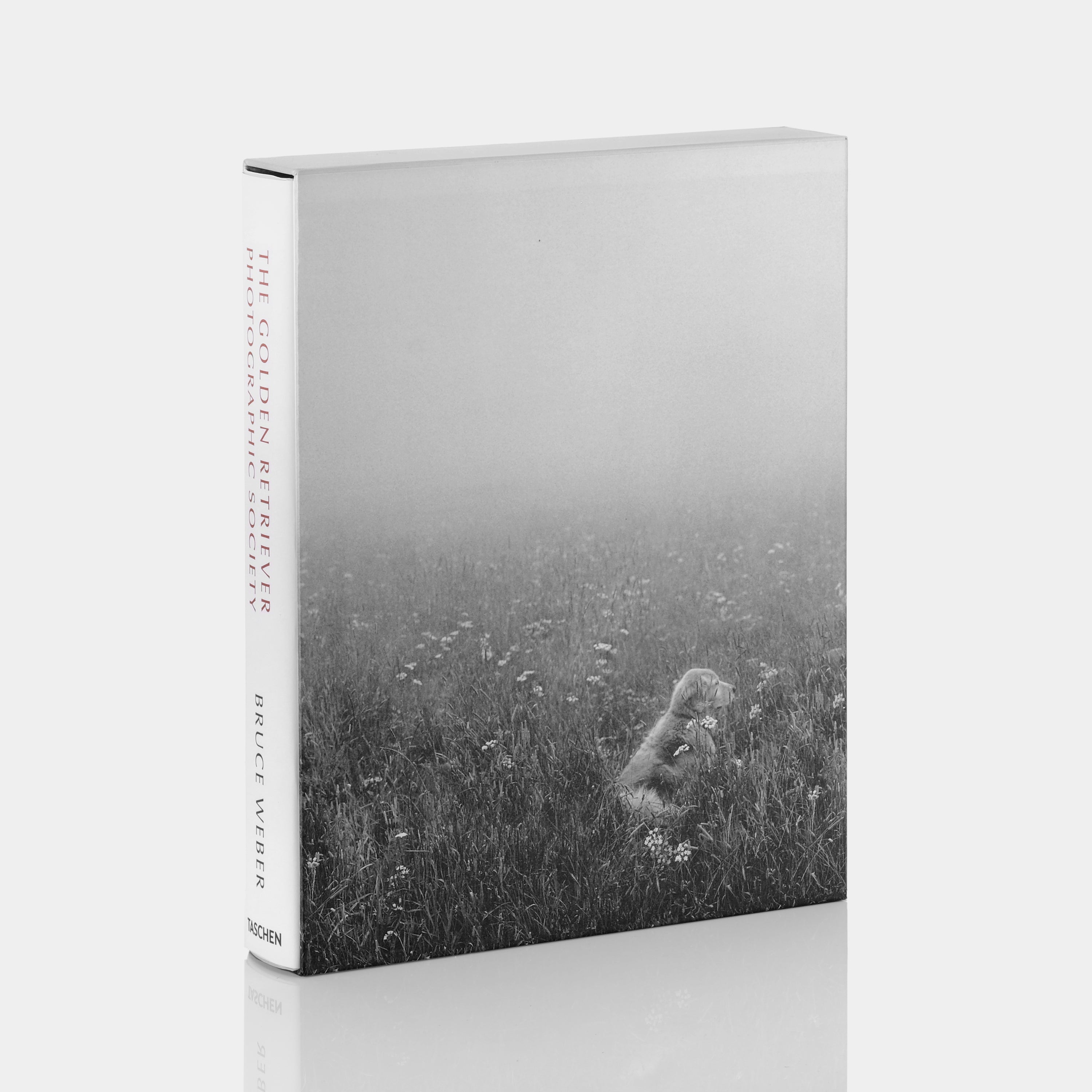 Bruce Weber The Golden Retriever Photographic Society XL Hardcover Book - Dog Photography Collection, Large Coffee Table Book for Pet Lovers & Home Decor