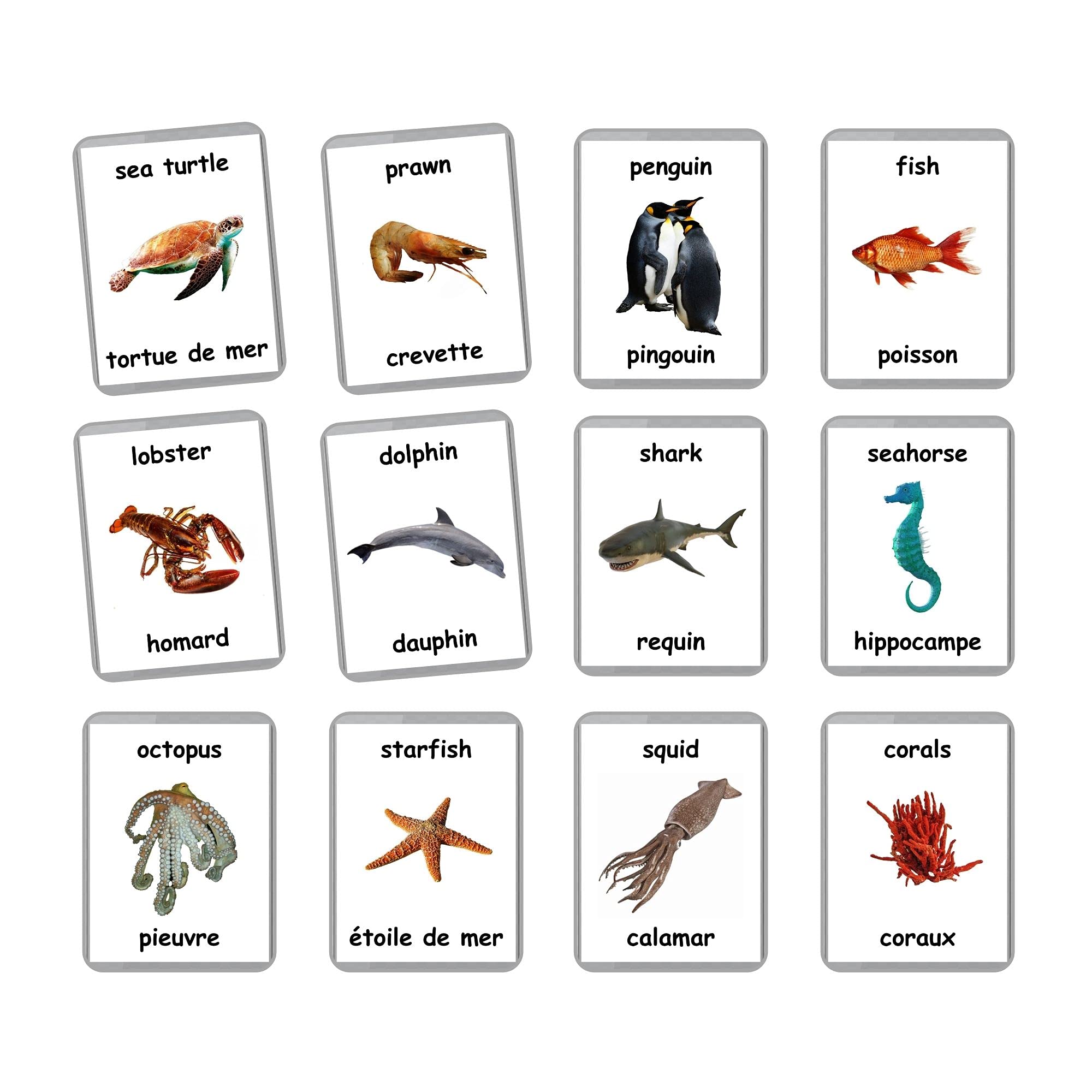 26 Laminated Sea Animals Flash Cards - Ocean & Water Animal Educational Learning Cards for Homeschool, Preschool & Bilingual Teaching (English/French) - Perfect for Classroom Activities & Language Development