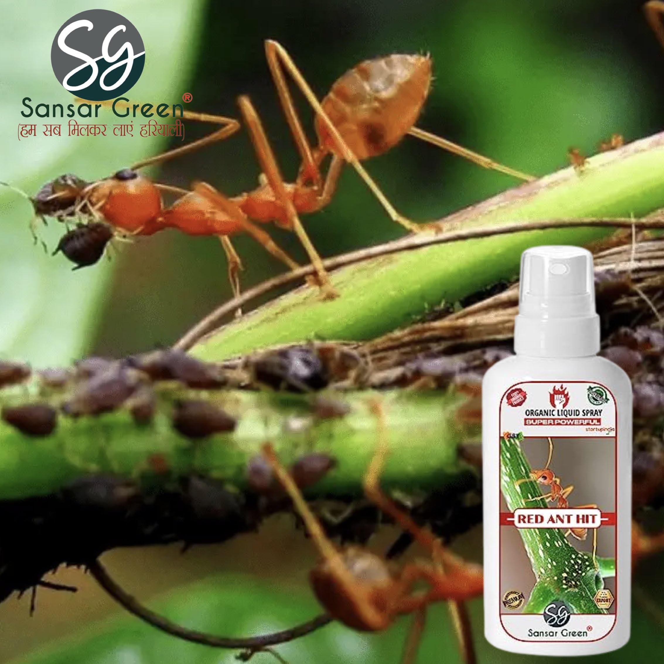 Sansar Green® Red Ant Killer Spray - Powerful Liquid Insecticide for Eliminating Red Ants & Pests on Plants (100ml) | Indoor & Outdoor Garden Protection