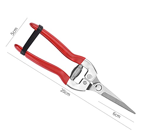 Premium Garden Shears - Professional Pruning Shears for Plants, Flowers & Grape Picking | Heavy Duty Gardening Shears with Comfort Grip | Perfect for Home Garden, Landscaping & Vineyard Use