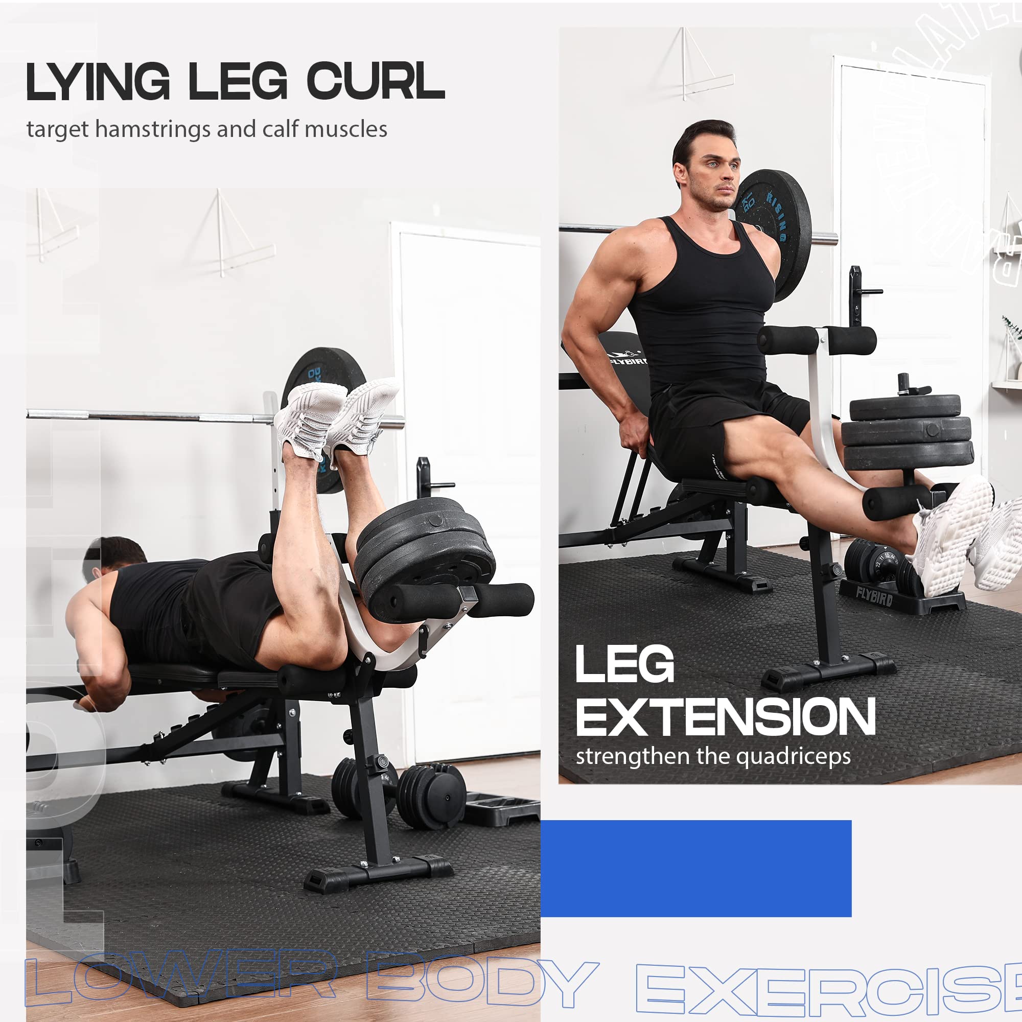 FLYBIRD Adjustable Weight Bench for Home Gym - Strength Training Bench Press Set with Preacher Curl Pad & Leg Developer - Perfect for Full Body Workouts, Strength Building & Home Fitness Training