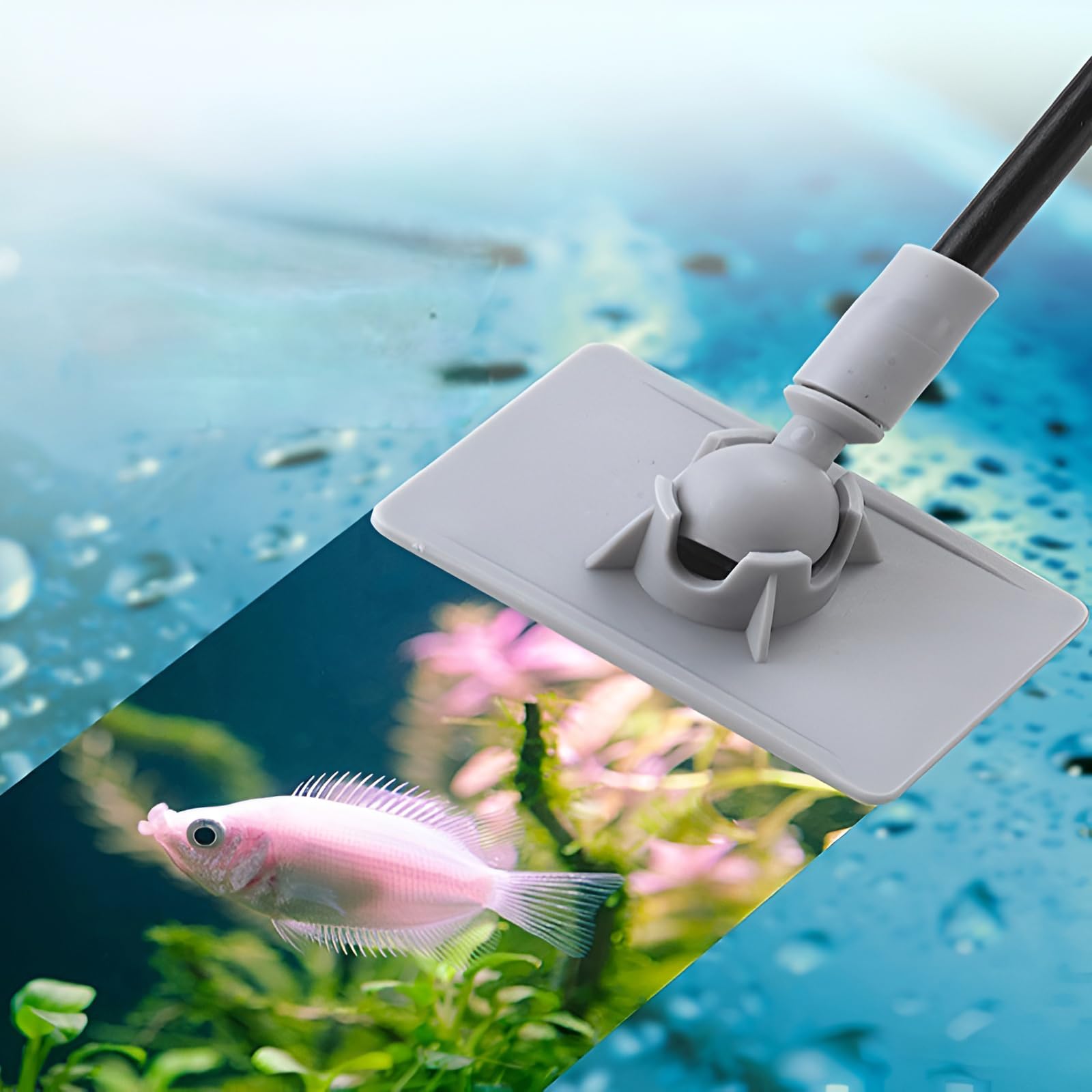Premium 3-in-1 Fish Tank Cleaner Kit - Aquarium Glass Cleaner, Algae Scraper & Right Angle Brush for Crystal Clear Water | Complete Maintenance Solution for Freshwater & Saltwater Tanks | Perfect for Home, Office or Classroom Aquariums