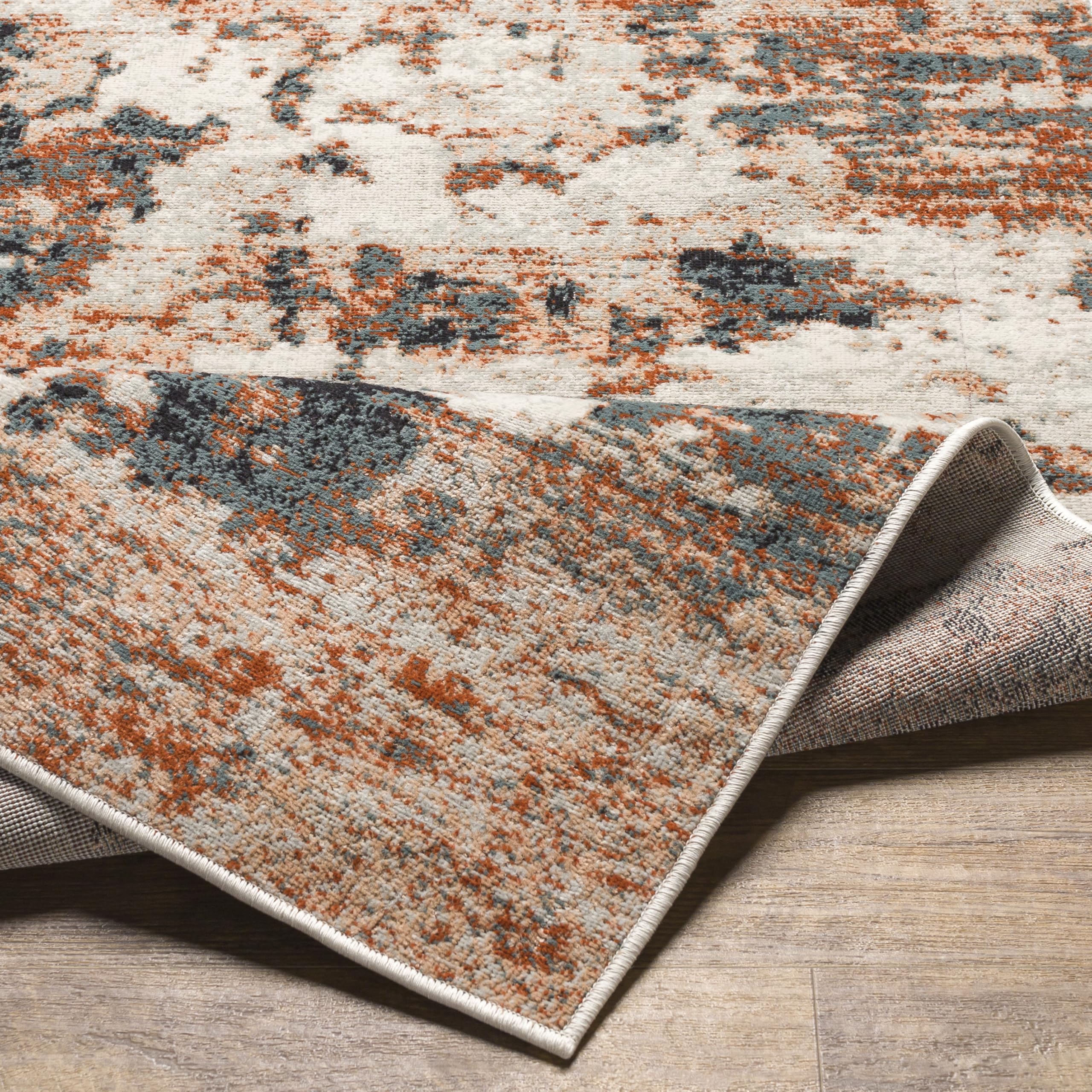 Redondo Beach Outdoor Boho Area Rug 5'3