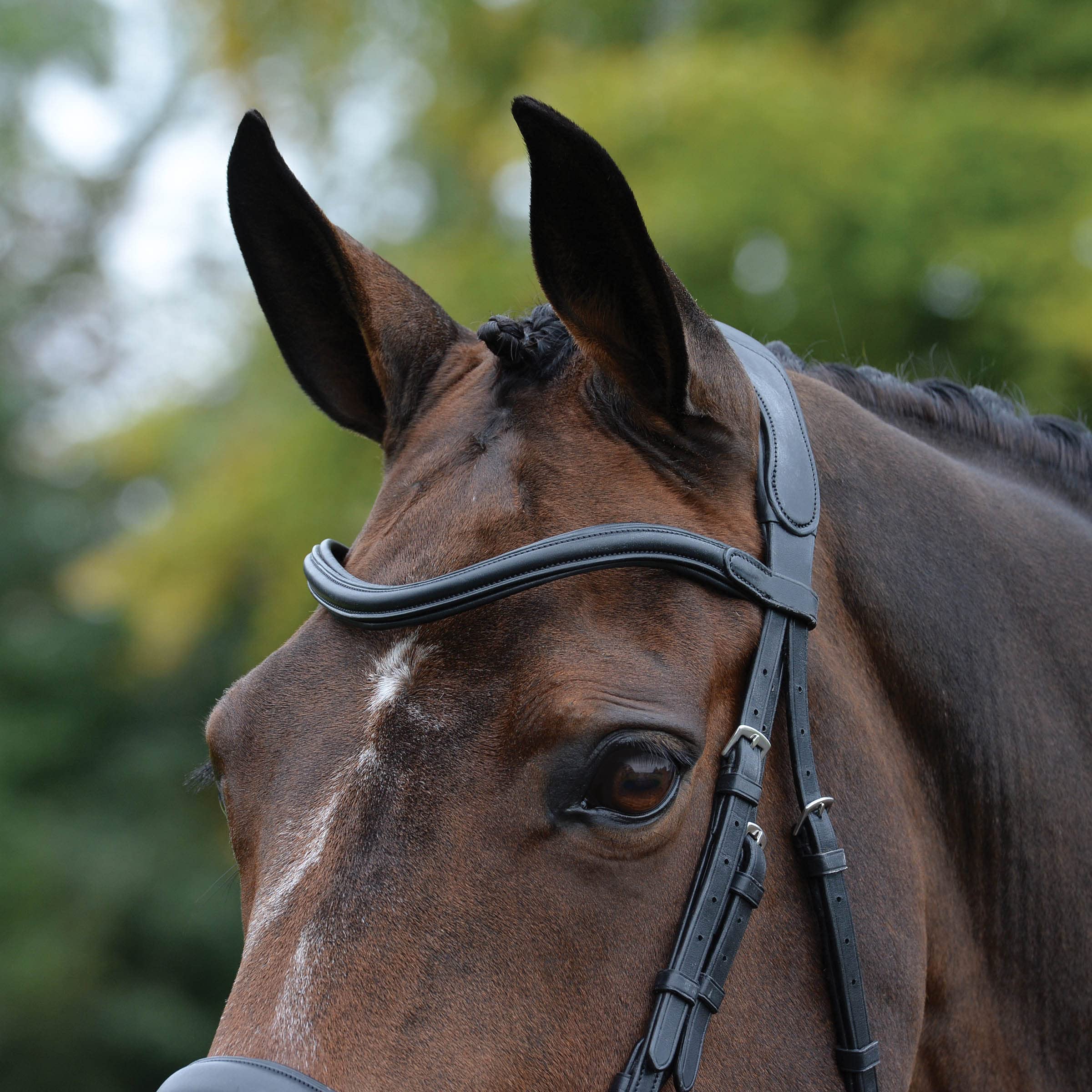 ComFiTec Vogue Anatomical Bridle for Horses - Premium Brown Leather Warmblood Size | Comfort Fit Equestrian Gear for Training & Dressage